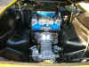 73 Pantera088.JPG (43481 bytes)