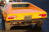 Orange3152007j.jpg (134210 bytes)